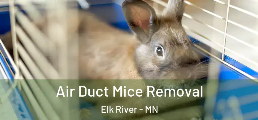  Air Duct Mice Removal Elk River - MN