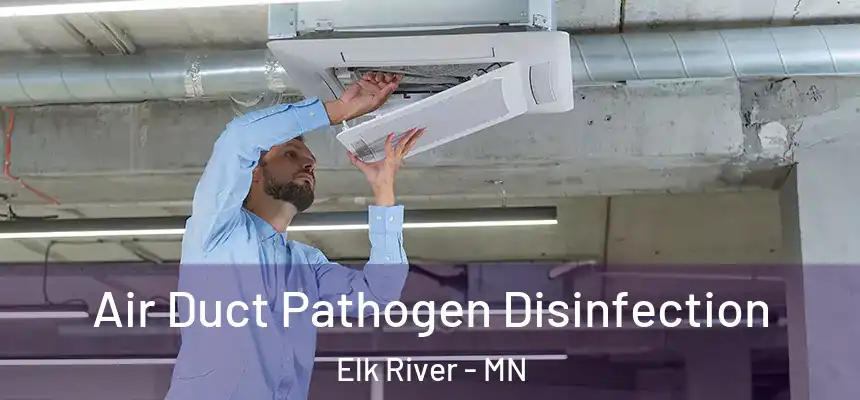  Air Duct Pathogen Disinfection Elk River - MN