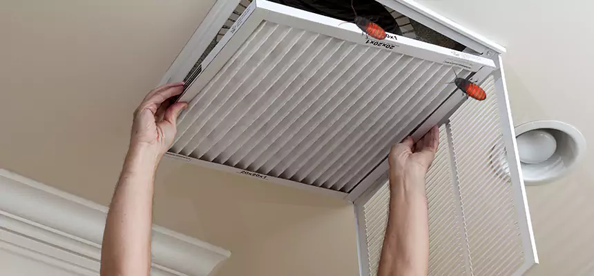 Preventive Cockroach-Proofing for Ducts in Elk River