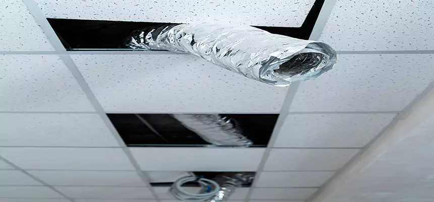 Our Air Duct Pet Hair Removal Services in Elk River, MN