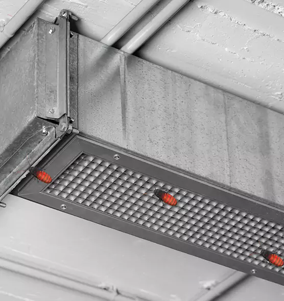 About Air Duct Cockroach Removal in Elk River, MN