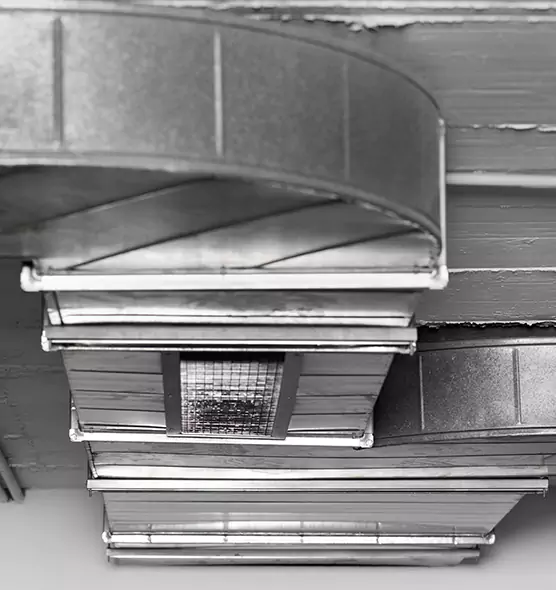 Professional Air Duct Pest Removal in Elk River, MN