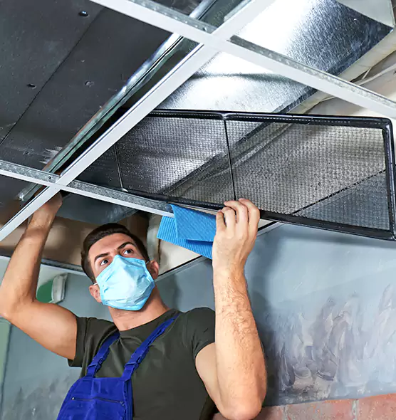 Professional Air Duct Pollen Cleaning in Elk River, MN