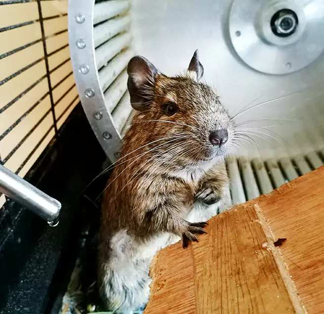 Why Homeowners & Businesses Trust Us Elk River, MN