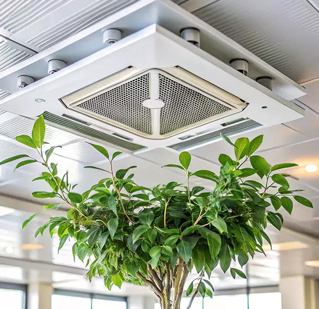 Why Homeowners & Businesses Trust Us in Elk River, MN