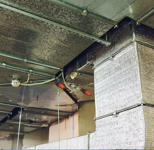 Why Homeowners & Businesses Trust Us Elk River, MN?