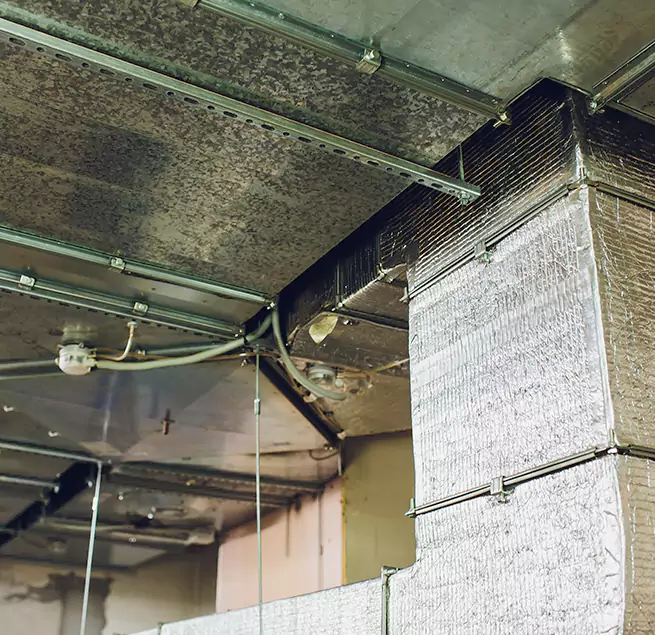 Why Homeowners & Businesses Trust Us in Elk River, MN?